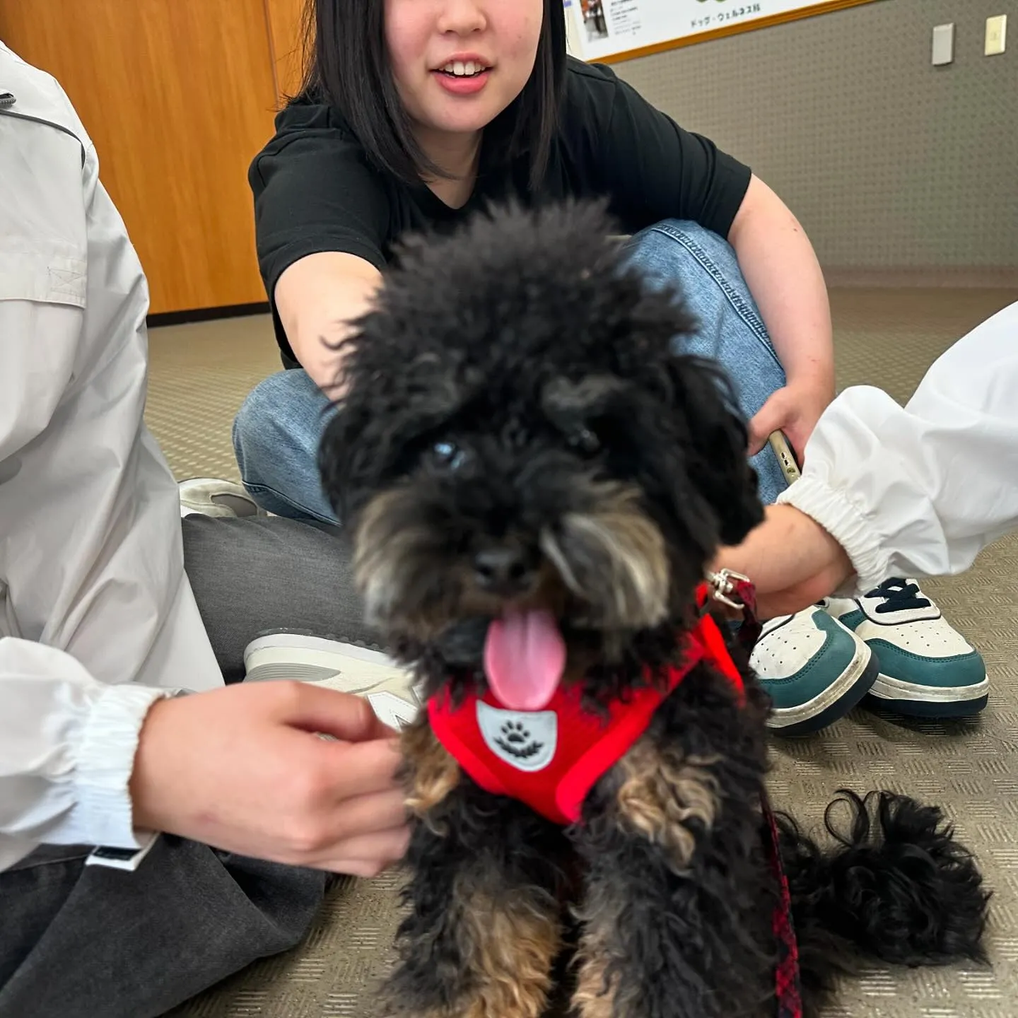 今日は前期最後の学校day🏫