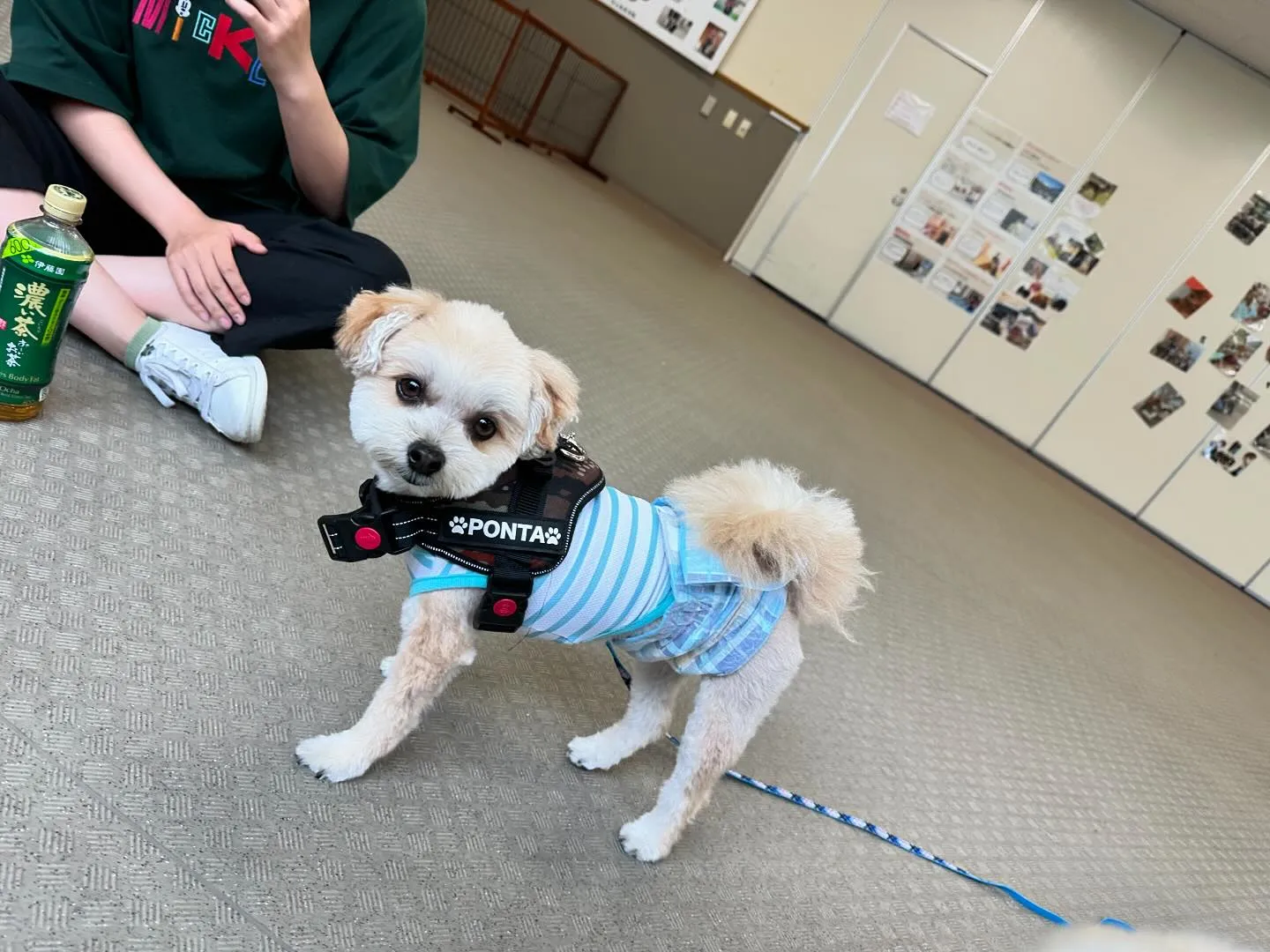 先日、専門学校の講師会に行ってきました🏫