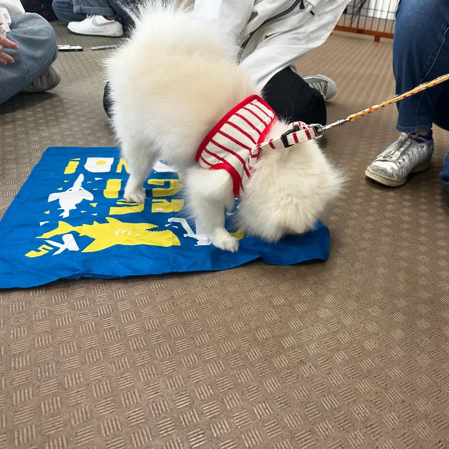 昨日は専門学校dayでした🏫