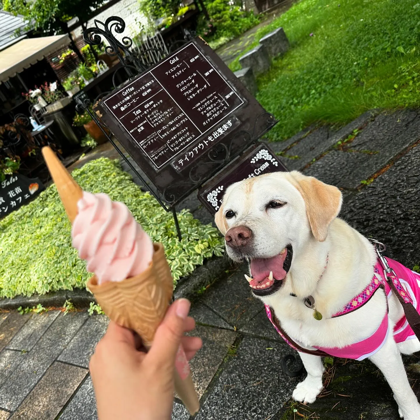 7月にスタッフ犬のなつを連れて旅行に行った時の動画第一弾をY...