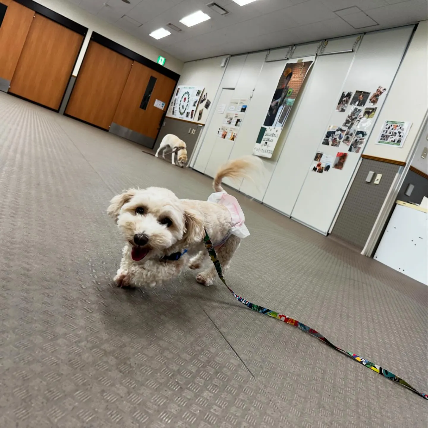 昨日は専門学校dayでした🏫