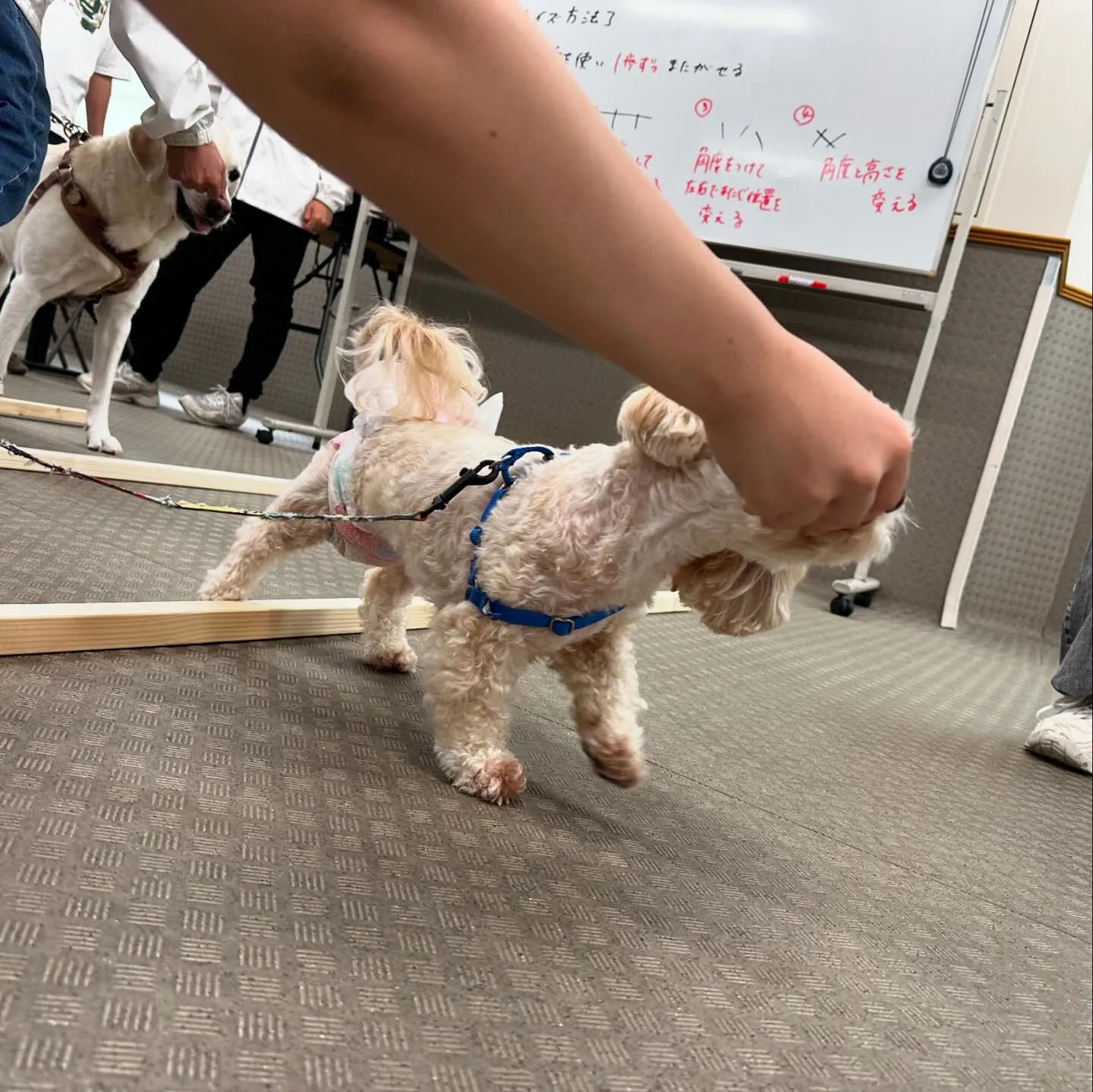 昨日は専門学校dayでした🏫