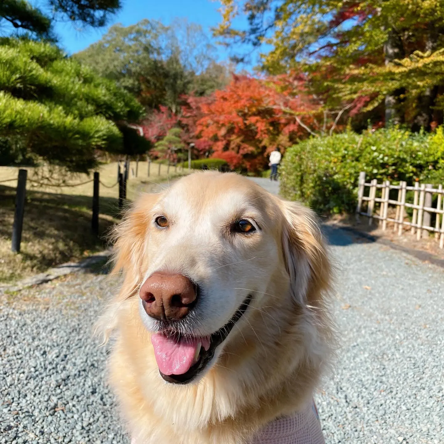 【秋の遠足 26日受付終了のお知らせ】