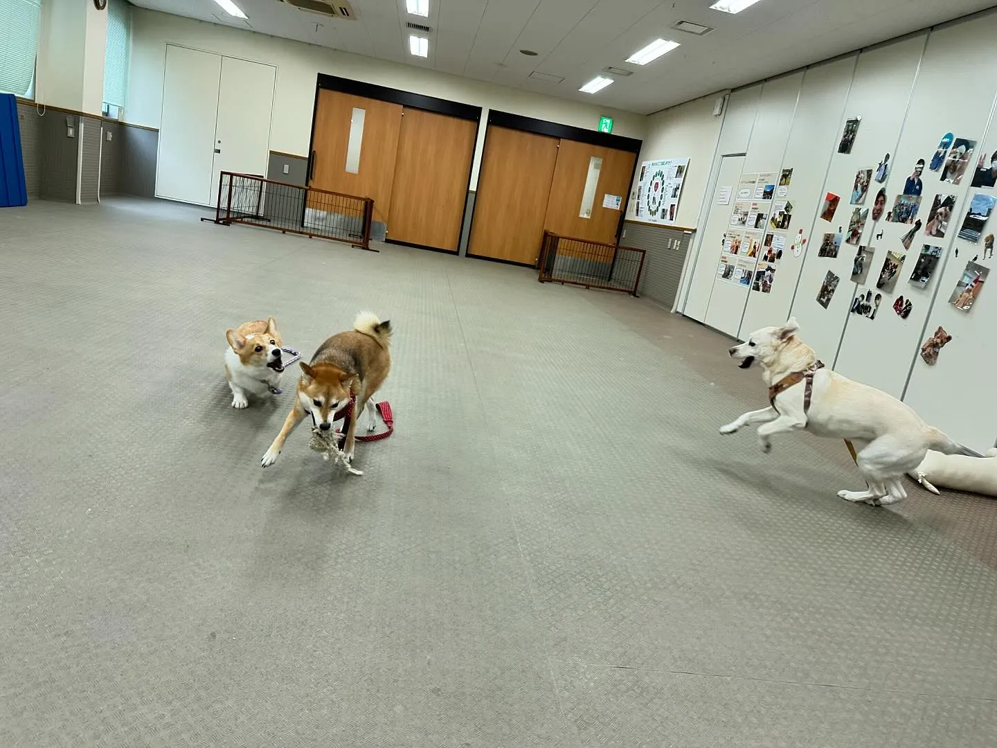 今日は専門学校day🏫