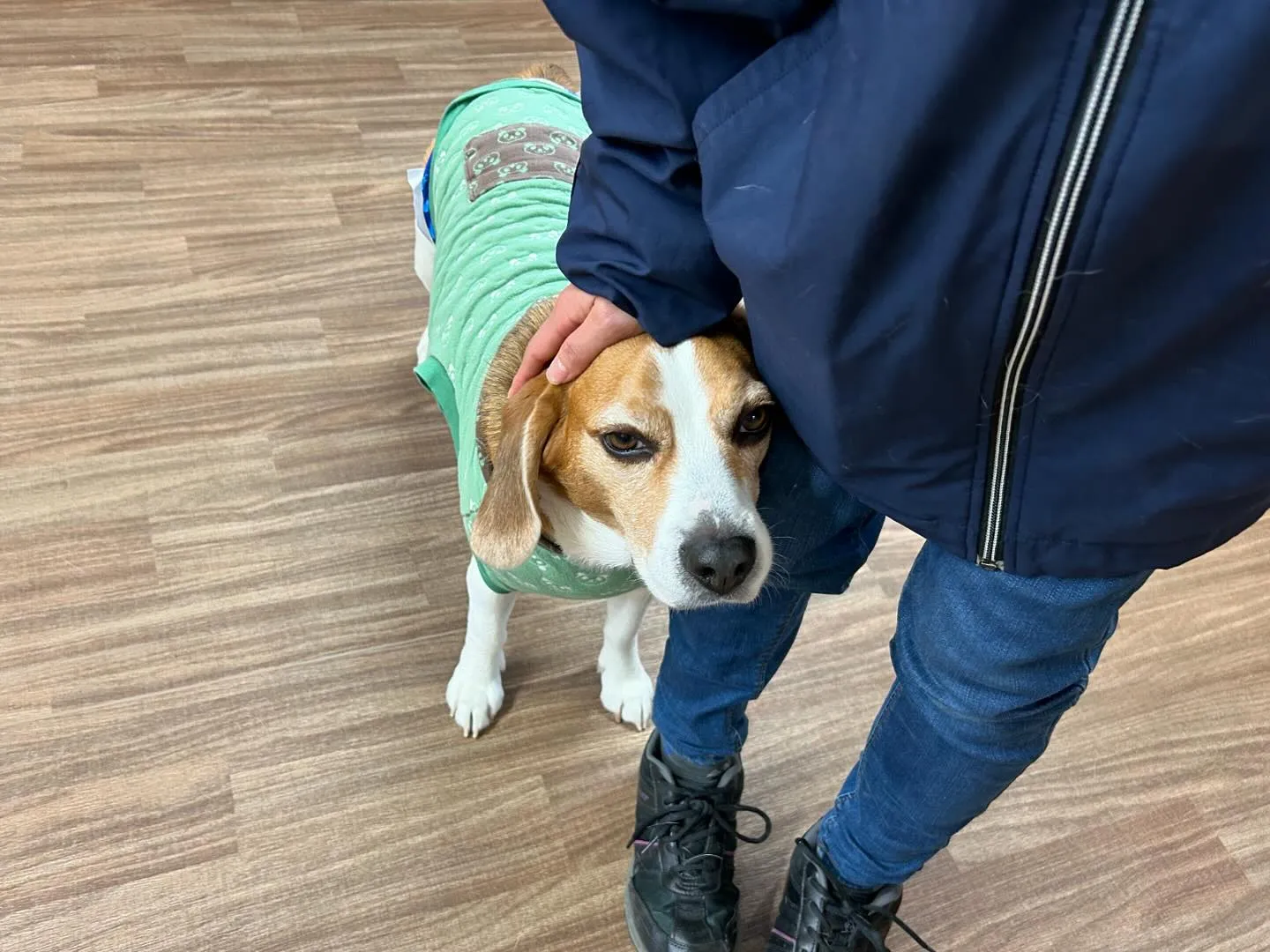 年末年始のお泊まりの空き状況についてご案内です🐾