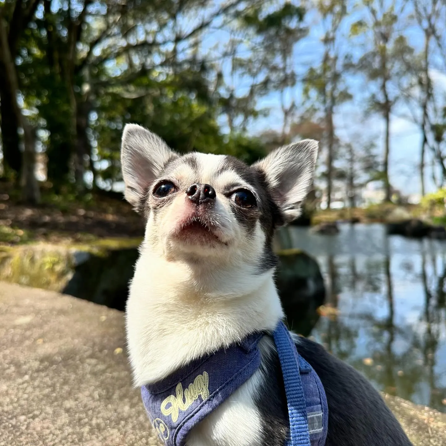 今日は遠足イベント1日目でした❣️