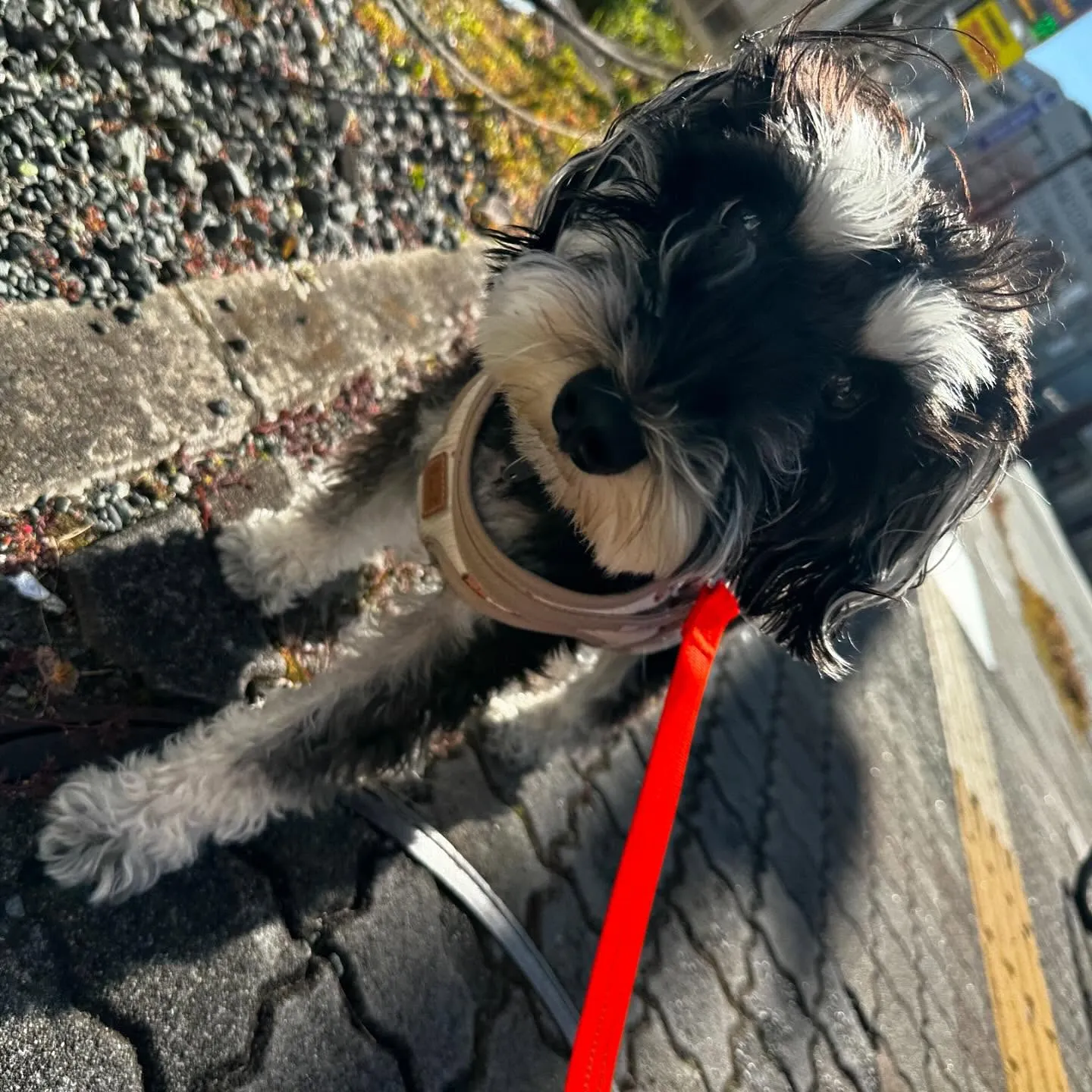 今日は専門学校day🏫