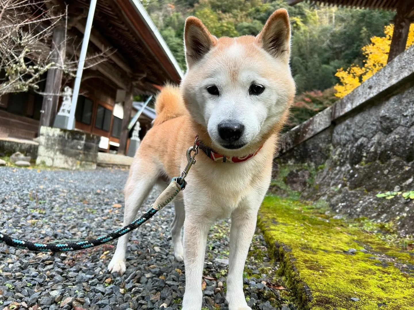 今日のイベントも無事楽しく終えることができました🌟