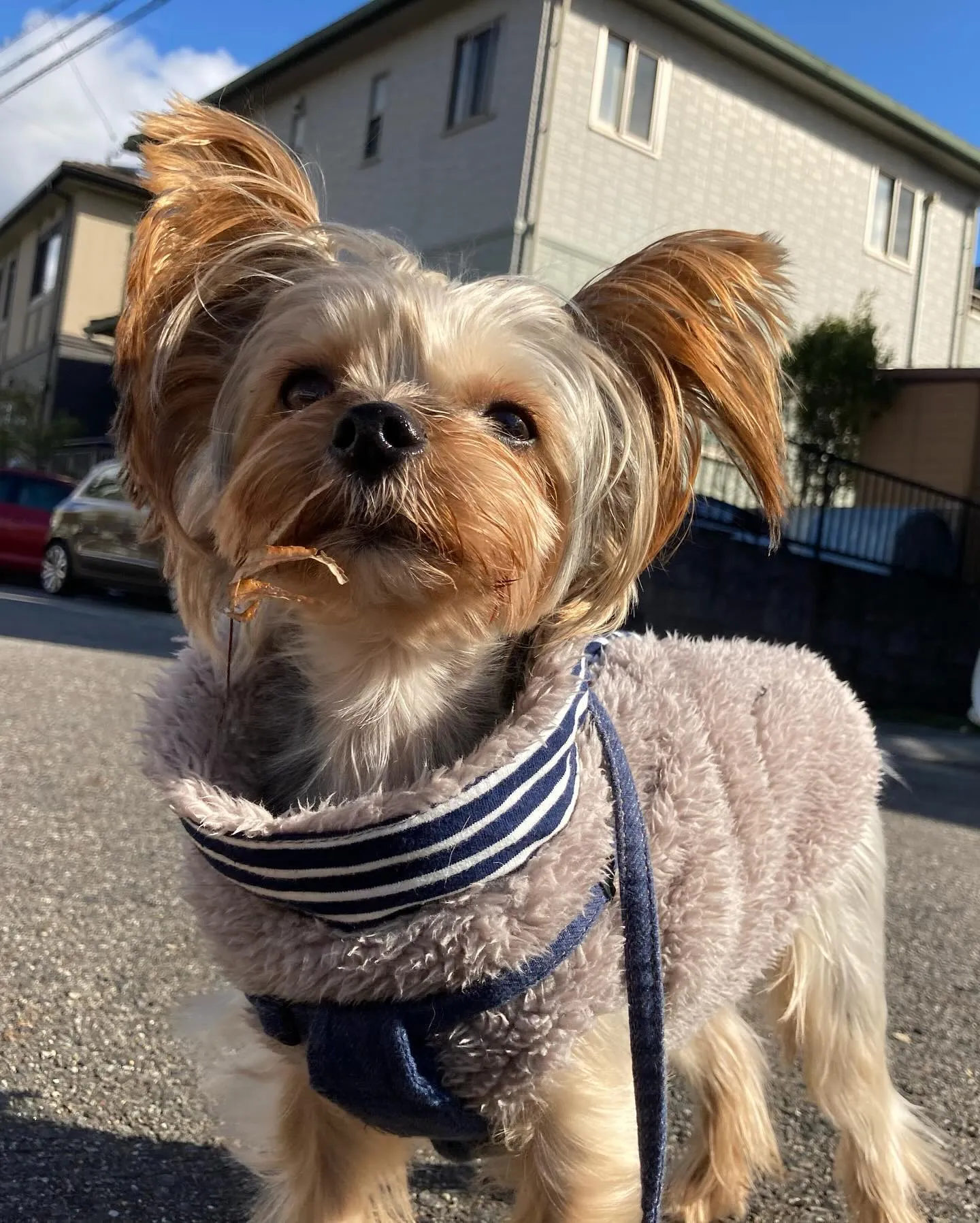 あけましておめでとうございます🎍㊗️