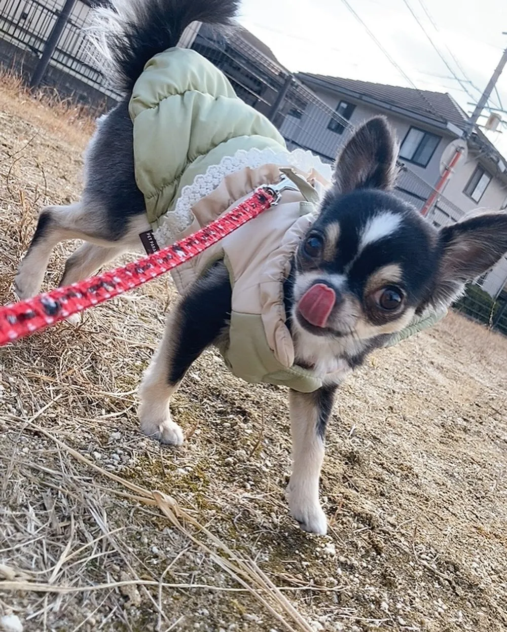 あけましておめでとうございます🎍㊗️