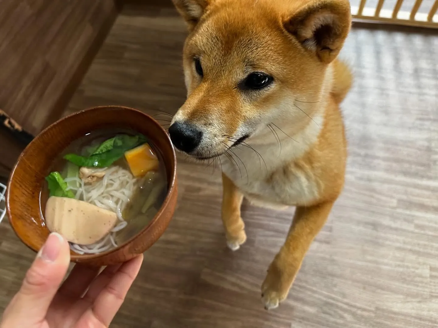 昨日は新年イベント開催日でした❣️