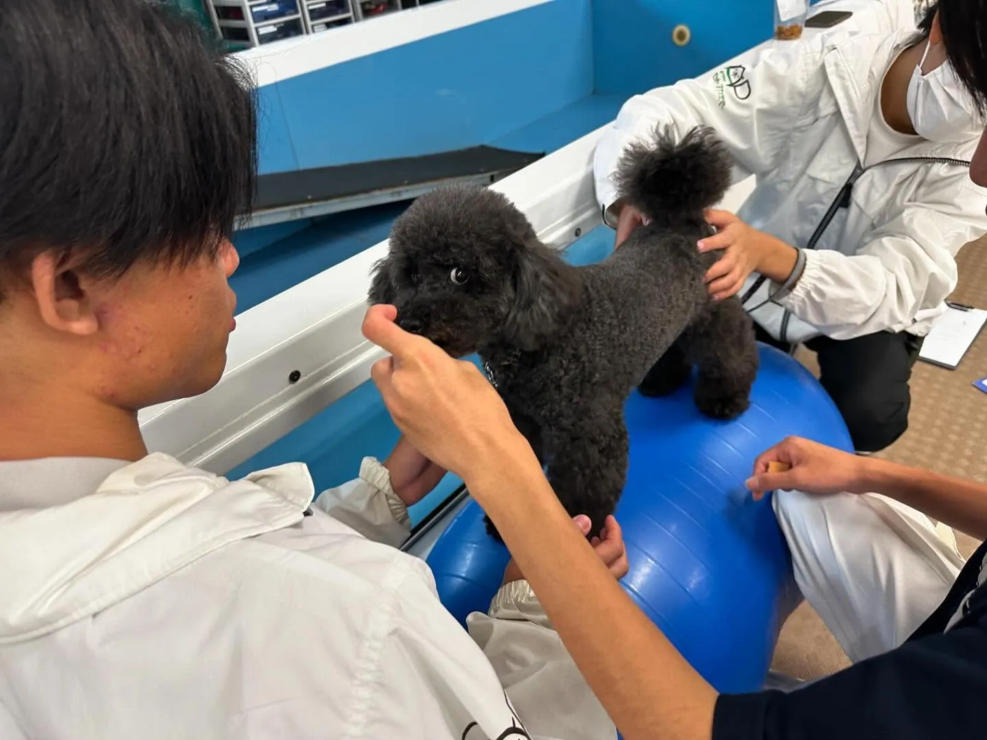 今日は今年度最後の専門学校dayでした🏫