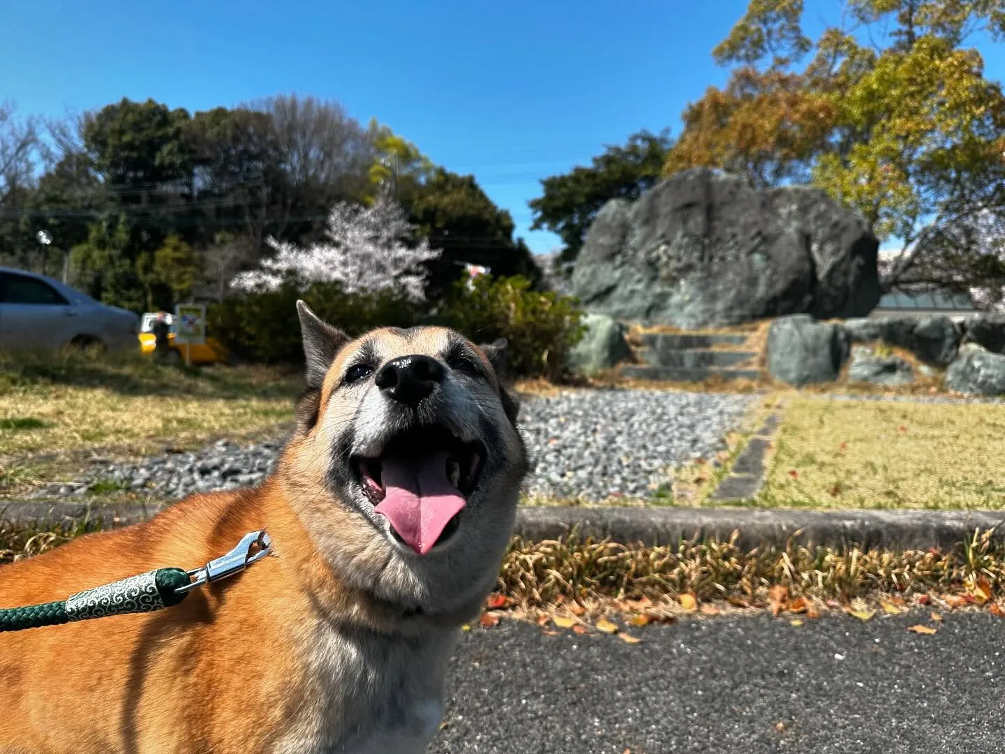 先日開催した春の遠足イベント(1日目)の写真です📸