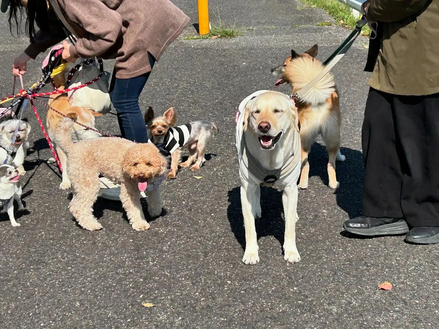 先日開催した春の遠足イベント(1日目)の写真です📸