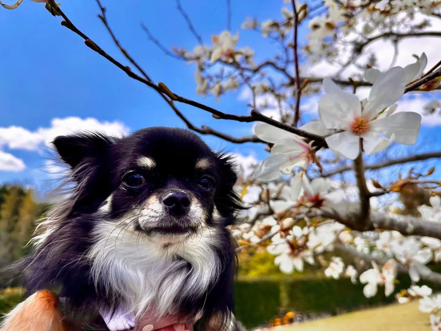 先日開催した春の遠足イベント(1日目)の写真です📸