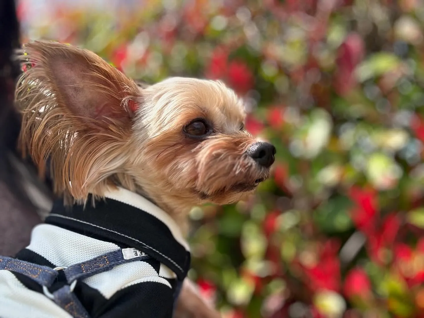 先日開催した春の遠足イベント(1日目)の写真です📸