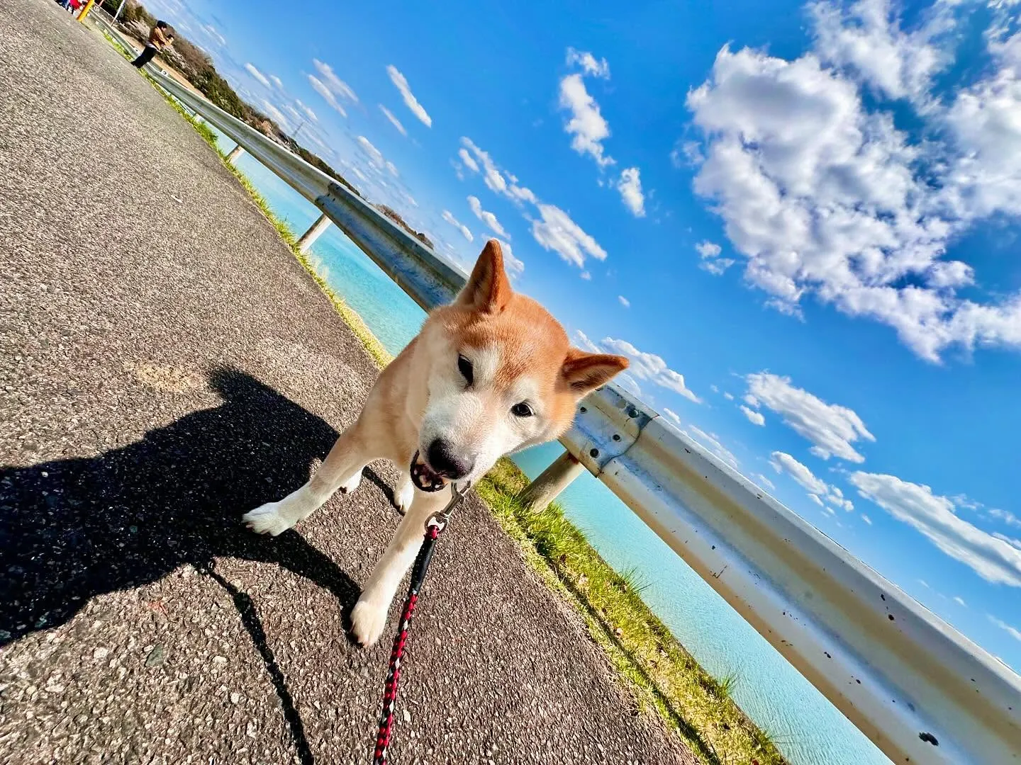 先日開催した春の遠足イベント(1日目)の写真です📸