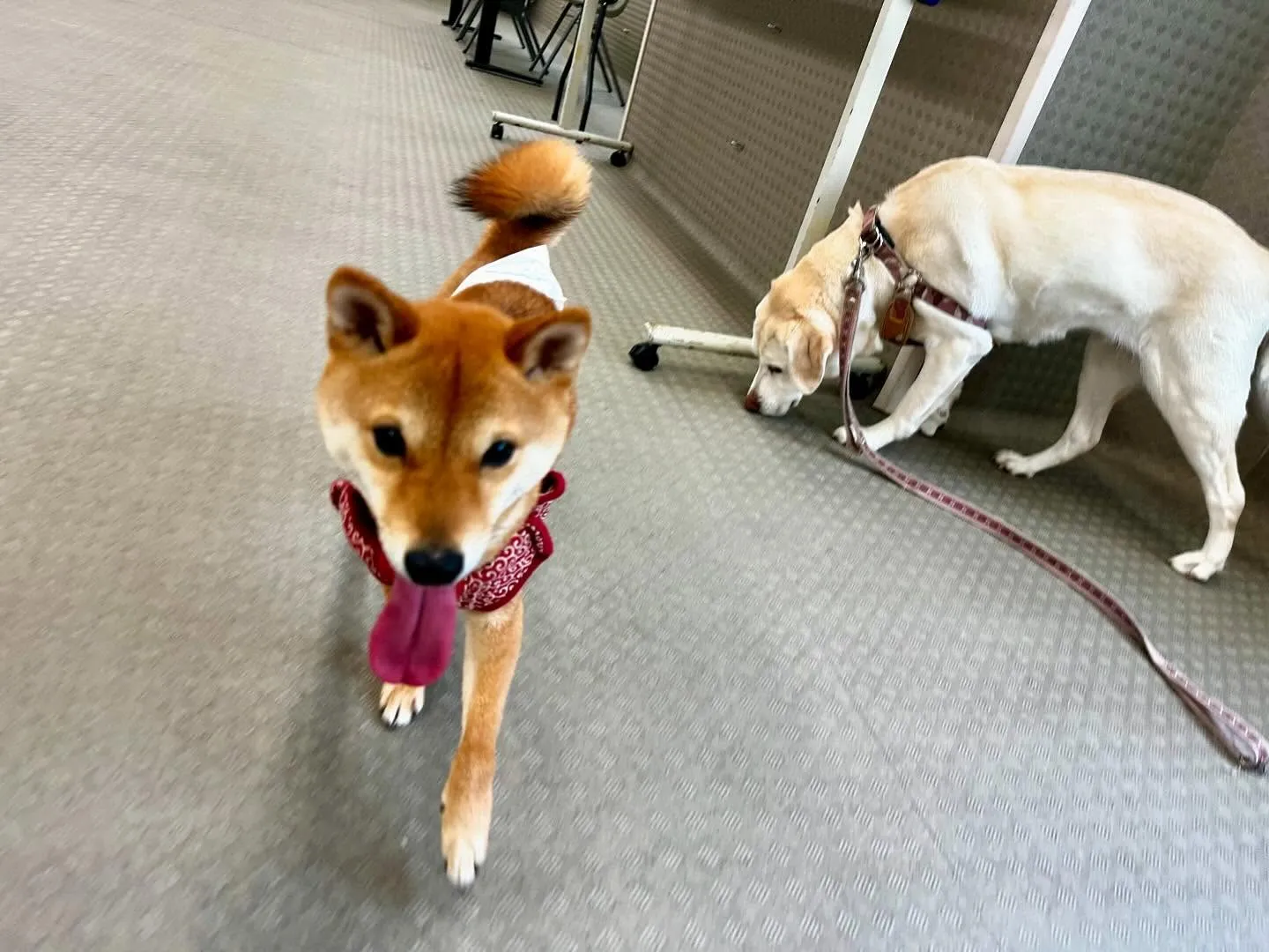 昨日は今年度初の専門学校でした🏫
