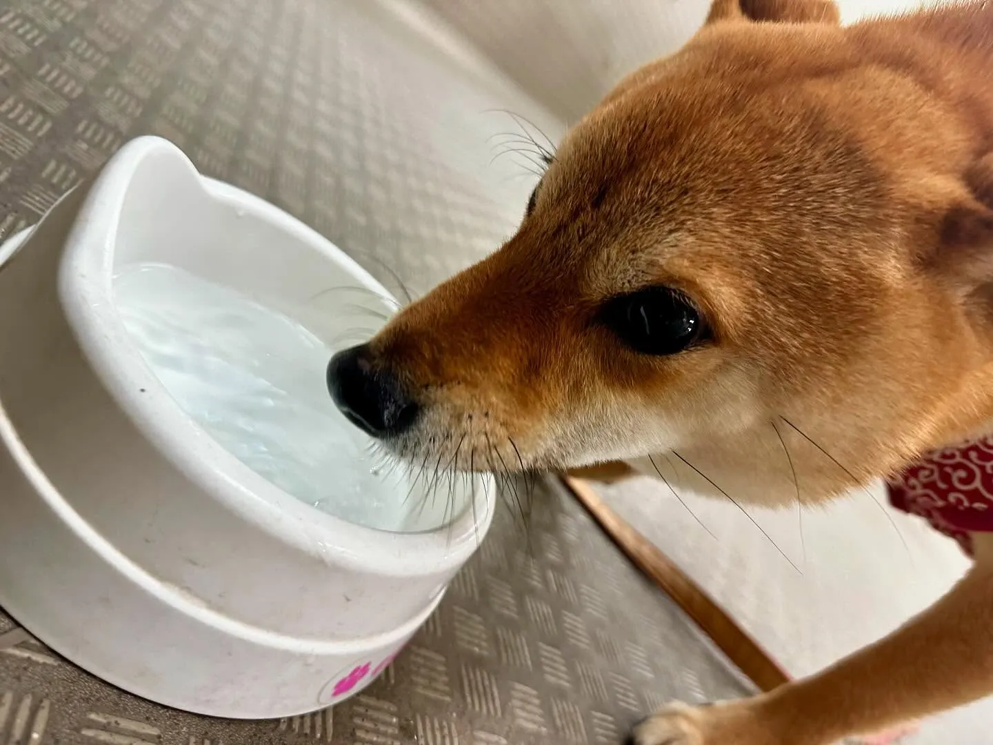 昨日は今年度初の専門学校でした🏫