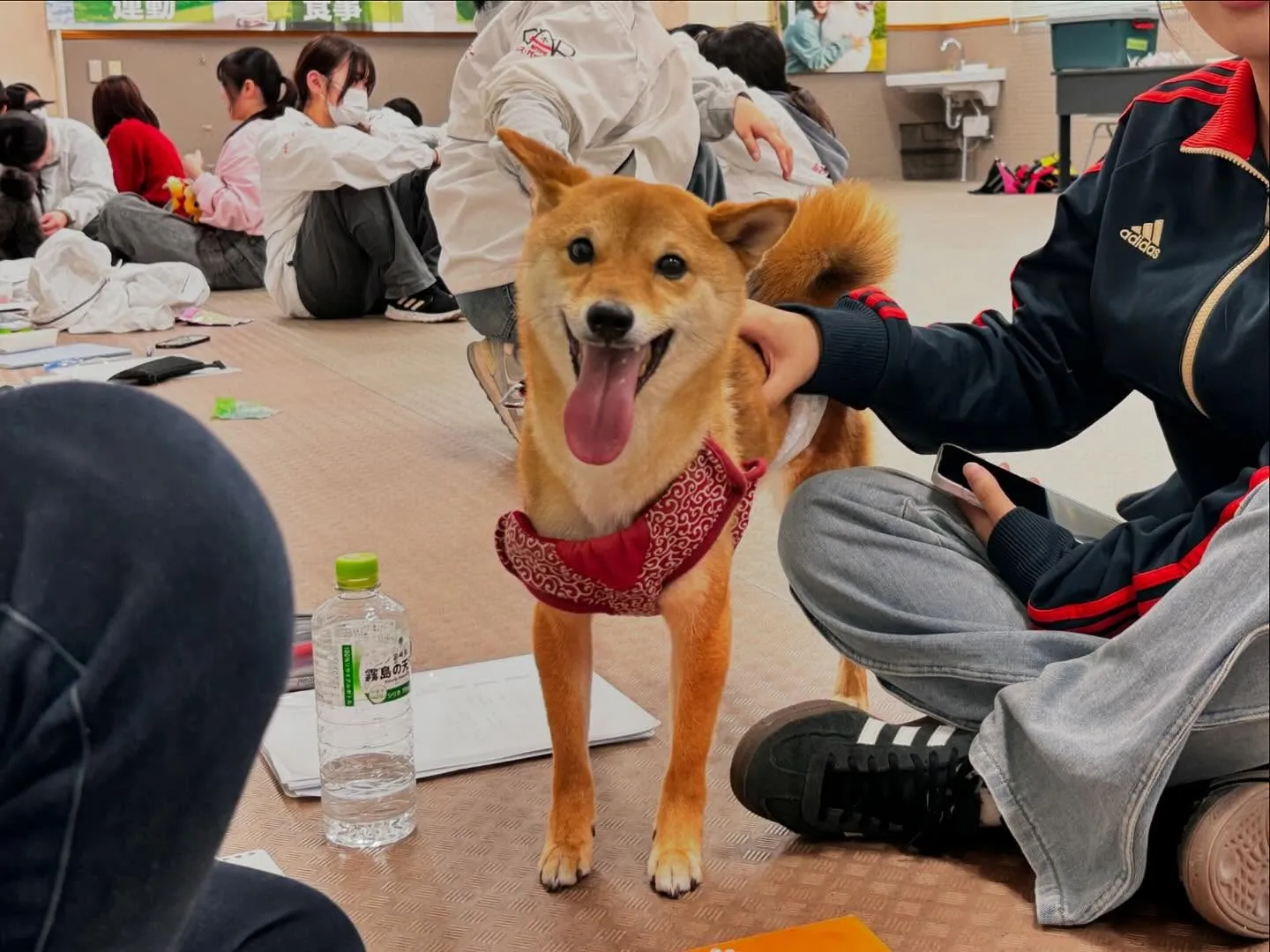 昨日は今年度初の専門学校でした🏫