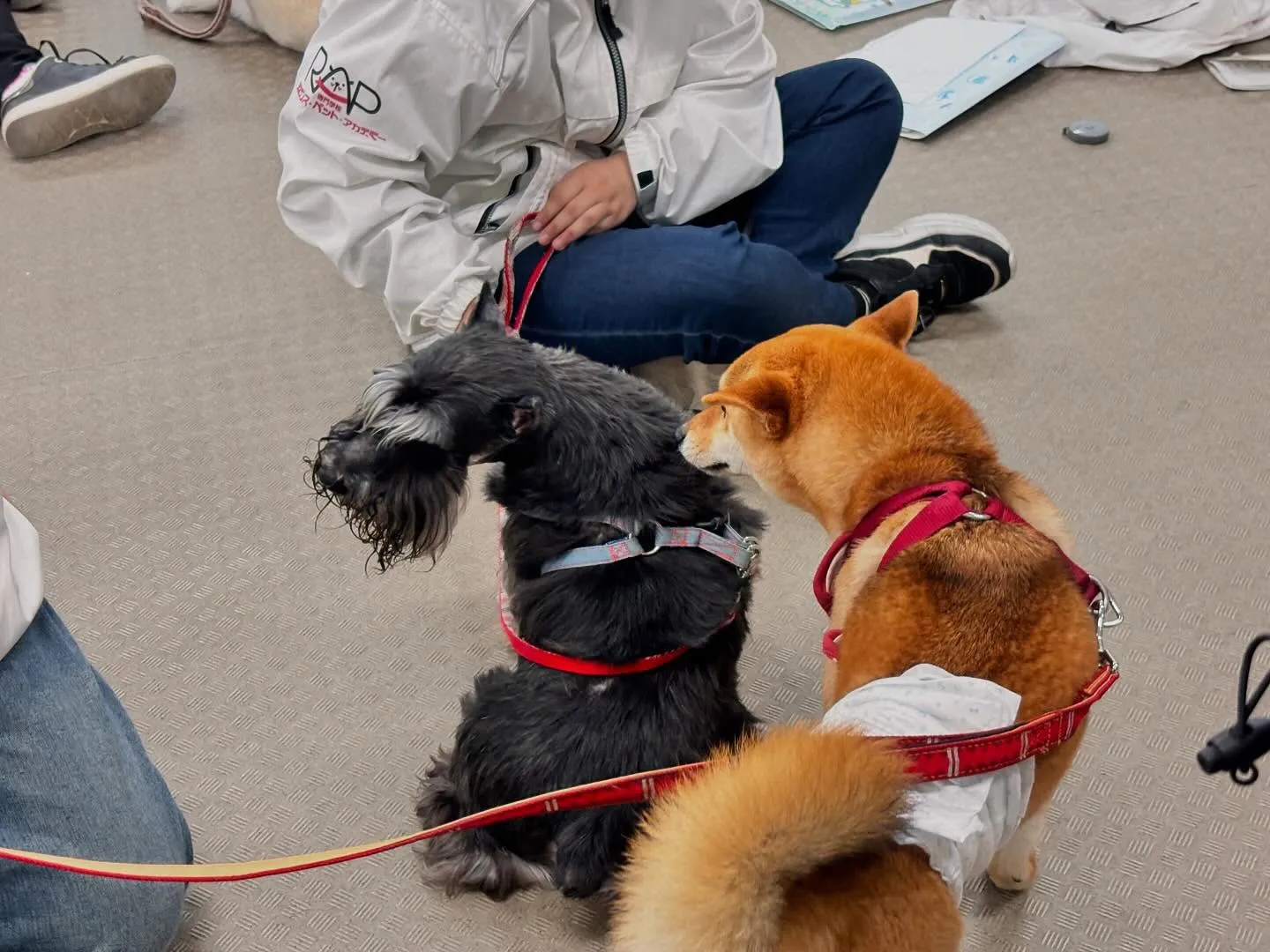 昨日は今年度初の専門学校でした🏫