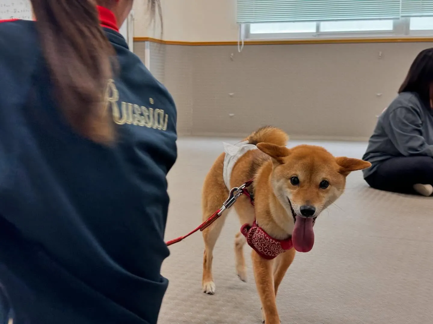 昨日は今年度初の専門学校でした🏫
