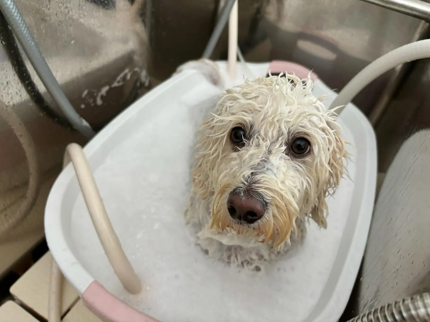 【スタッフ募集のお知らせ】