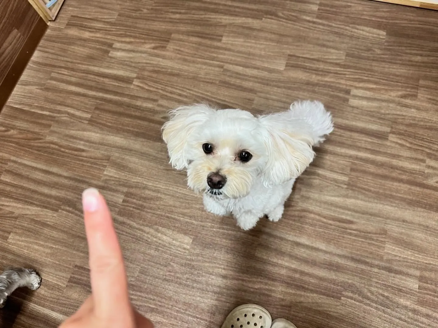 【スタッフ募集のお知らせ】