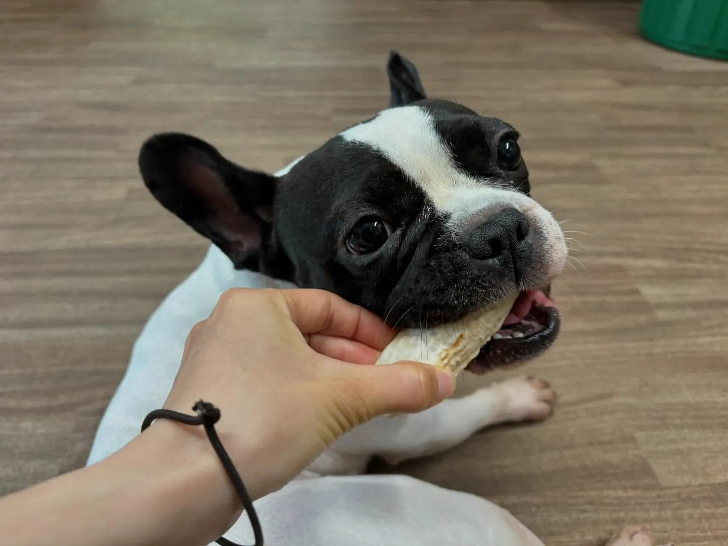 【スタッフ募集のお知らせ】