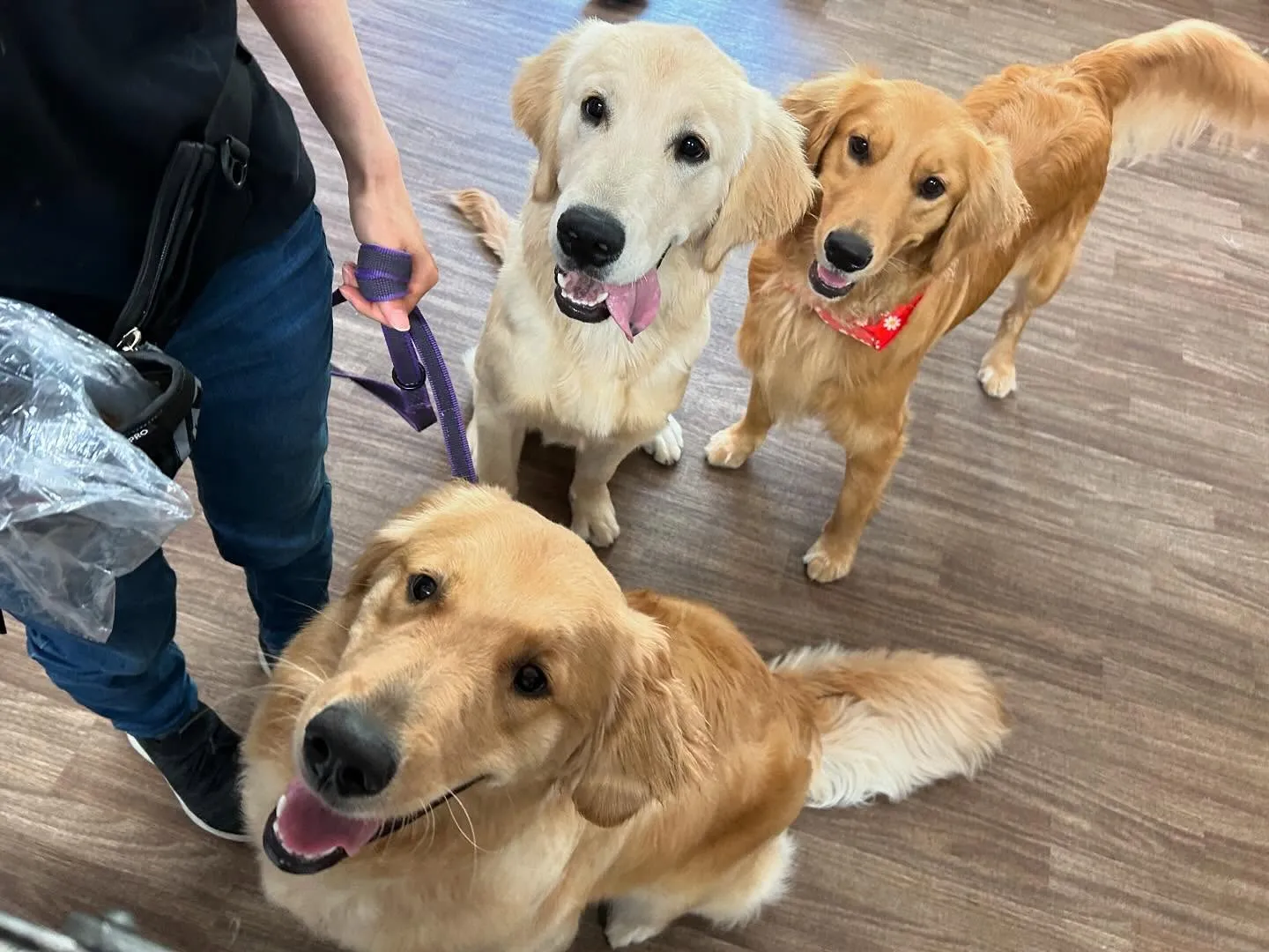 【スタッフ募集のお知らせ】