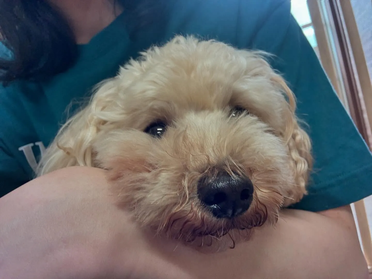 【スタッフ募集のお知らせ】