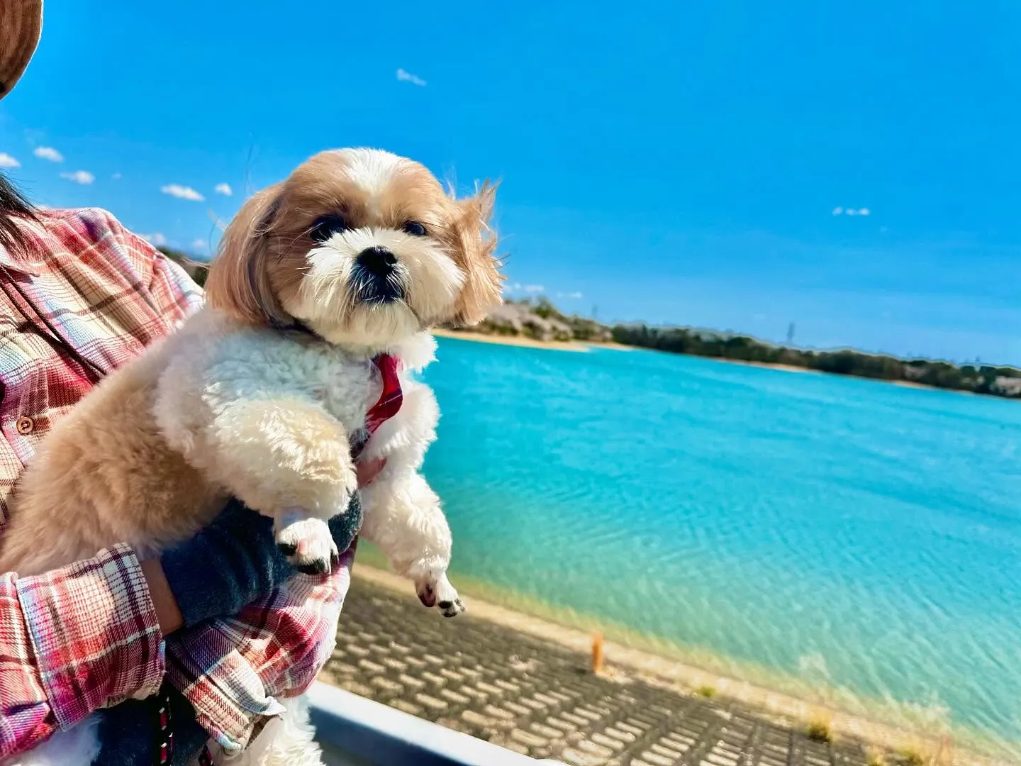 春の遠足イベント2日目の写真の1部をアップします🌸