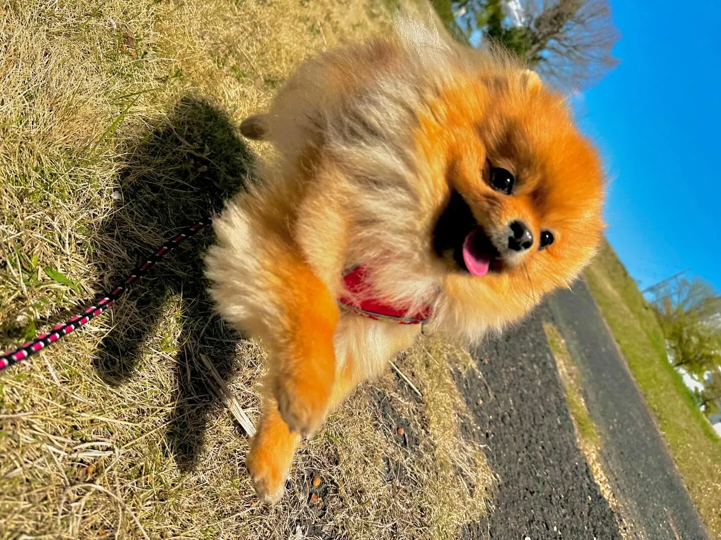 春の遠足イベント2日目の写真の1部をアップします🌸
