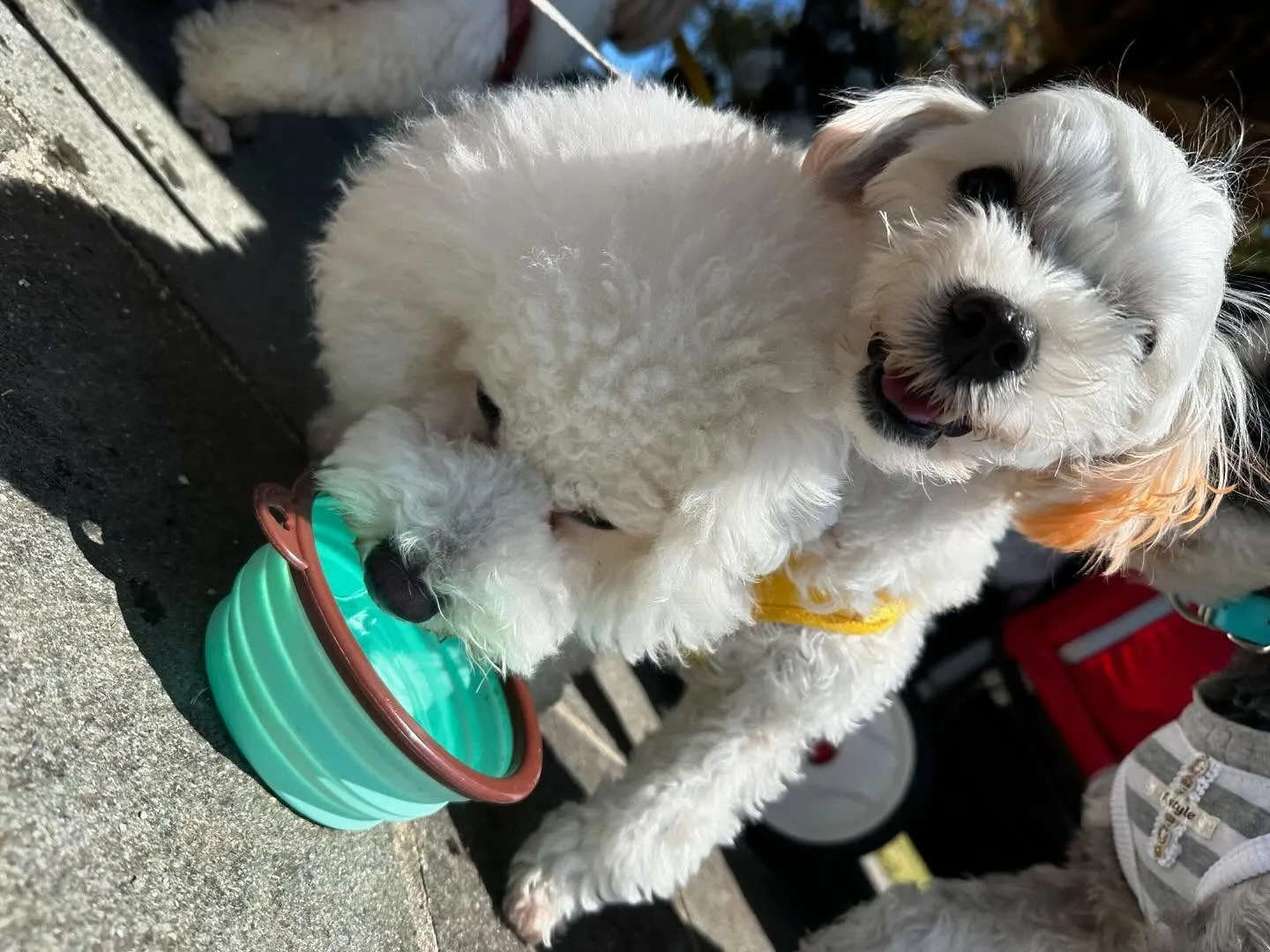 春の遠足イベント2日目の写真の1部をアップします🌸