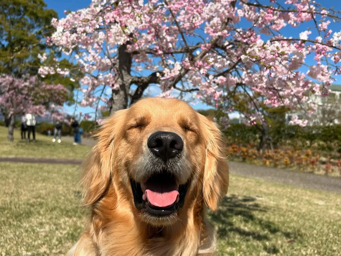 春の遠足イベント2日目の写真の1部をアップします🌸