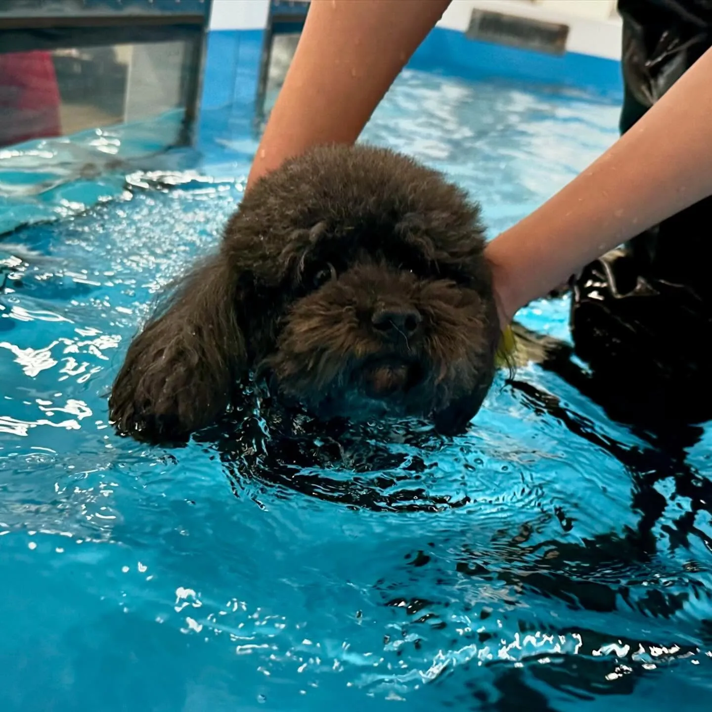 今日は専門学校day🏫