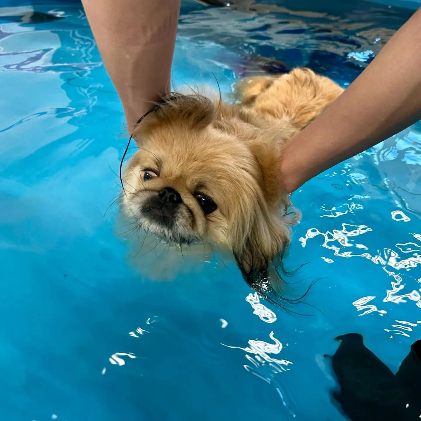 今日は専門学校day🏫