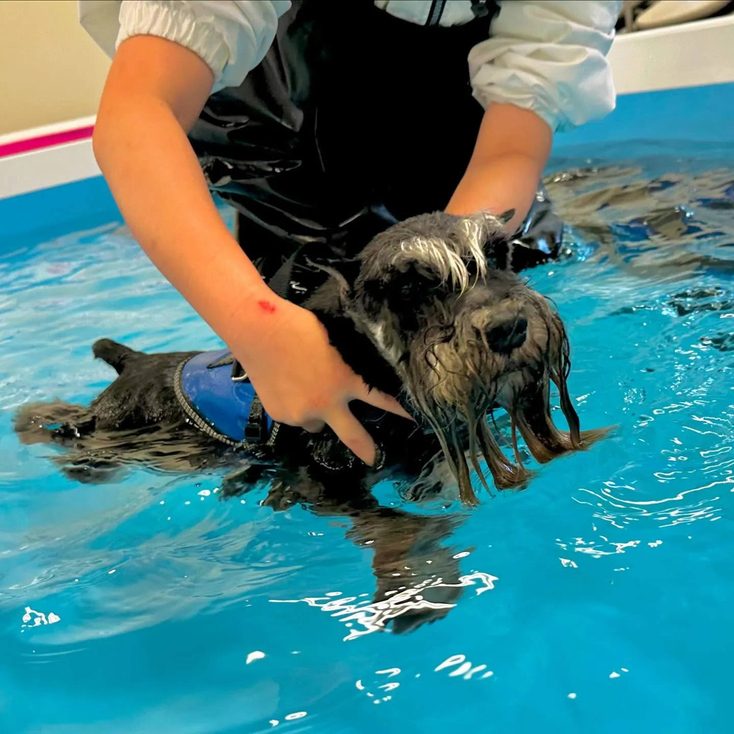 今日は専門学校day🏫