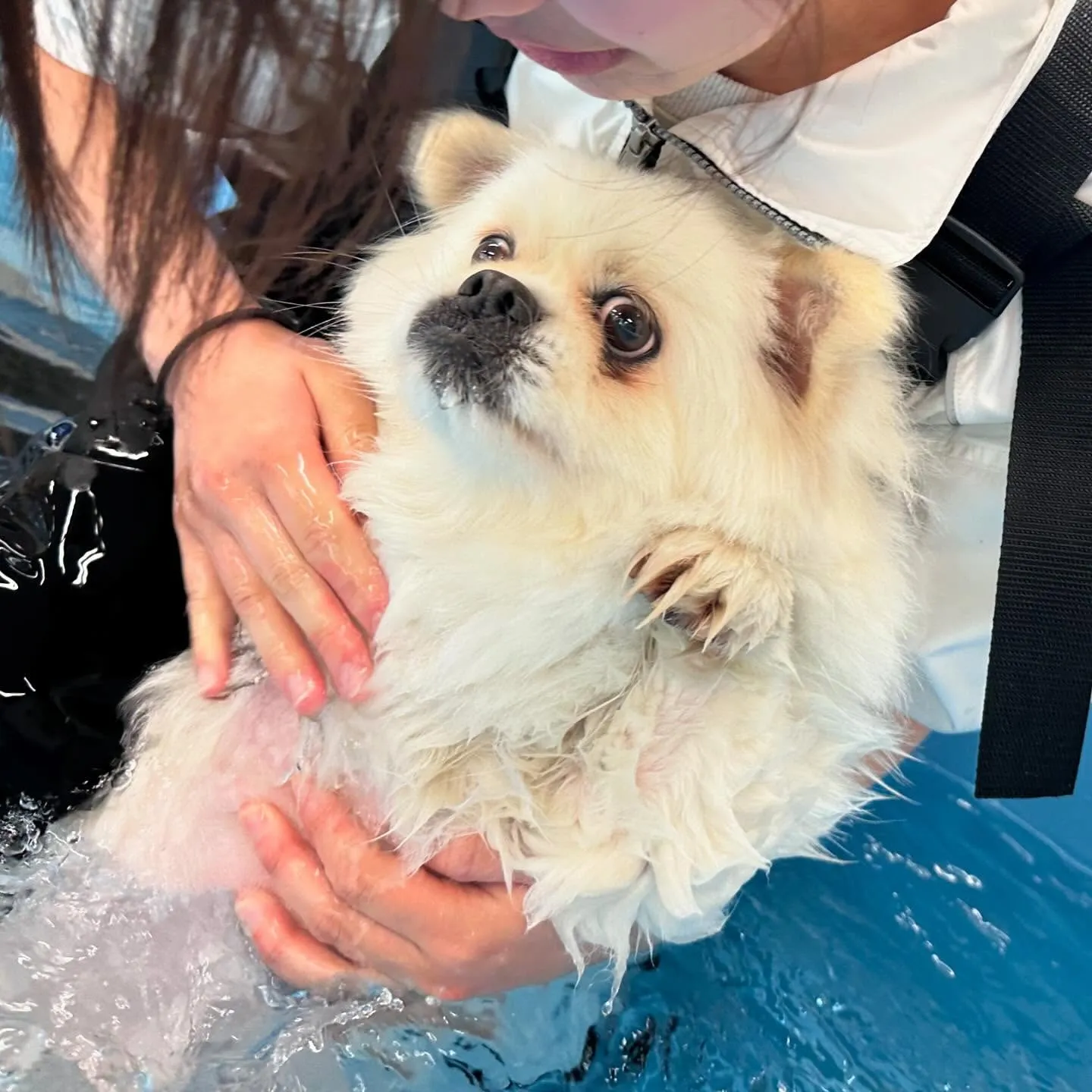 今日は専門学校day🏫