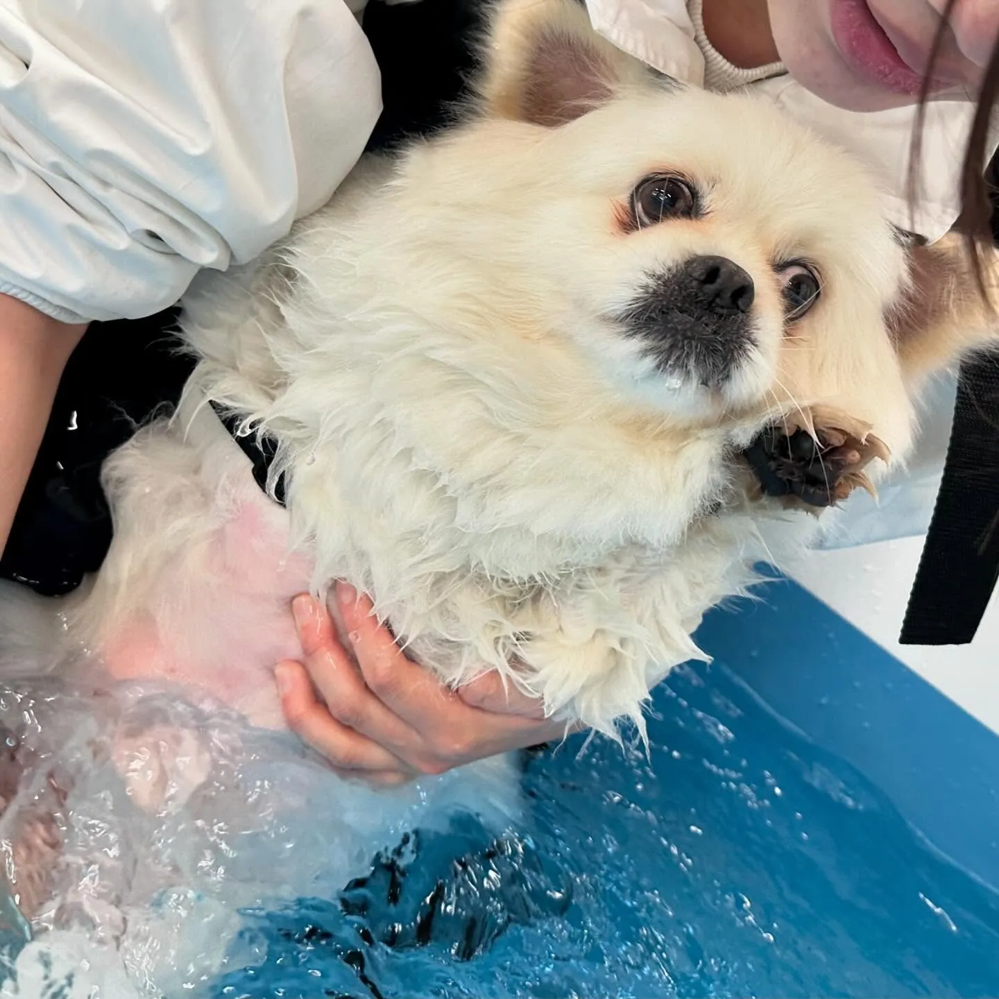 今日は専門学校day🏫