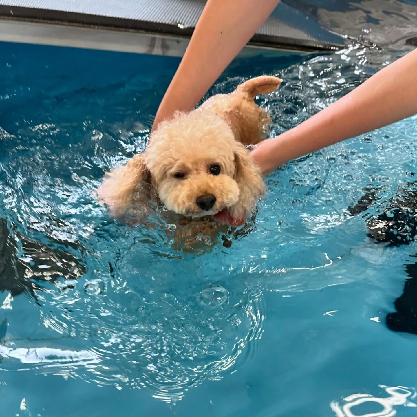 今日は専門学校day🏫