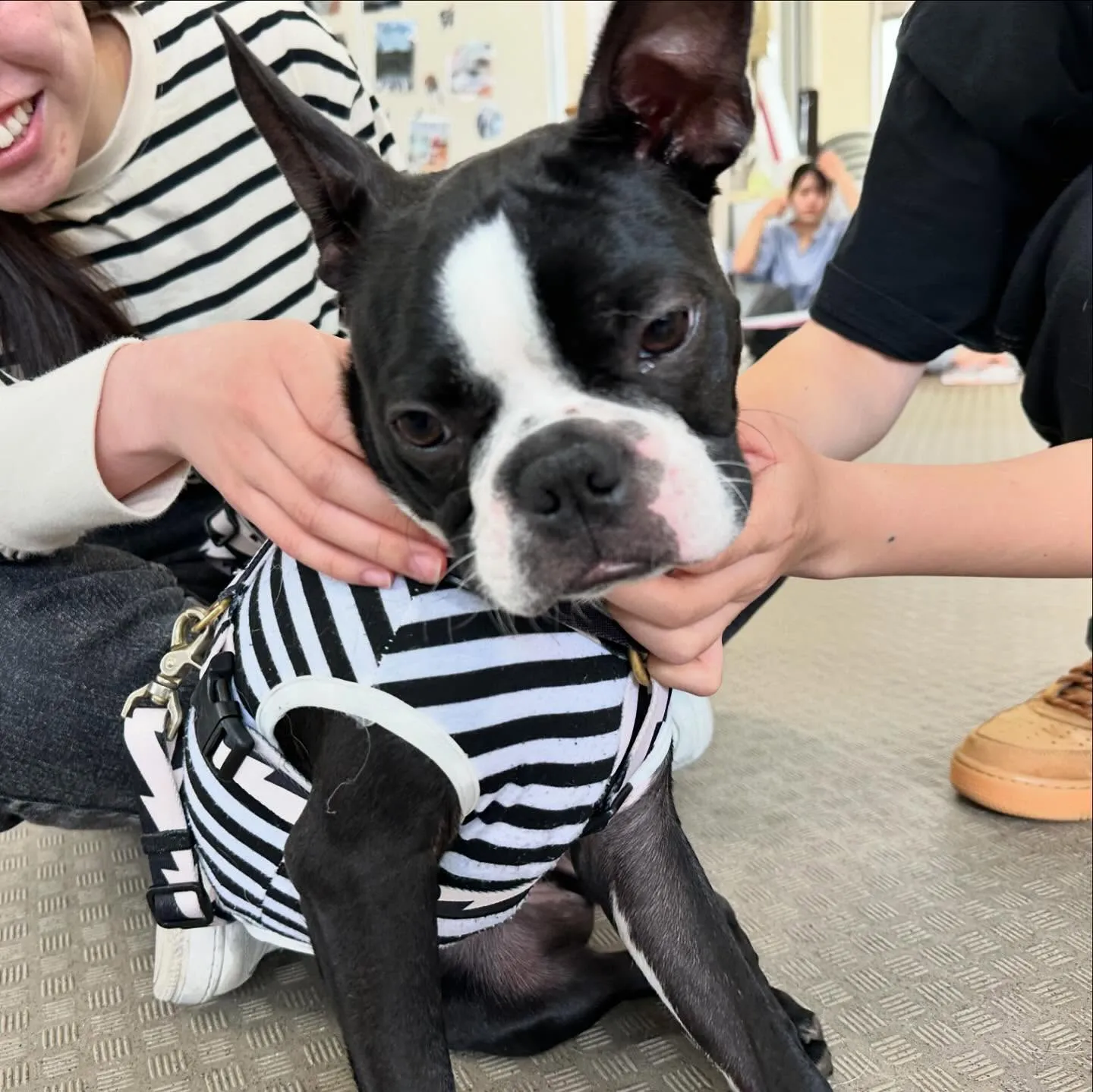 今日は専門学校day🏫