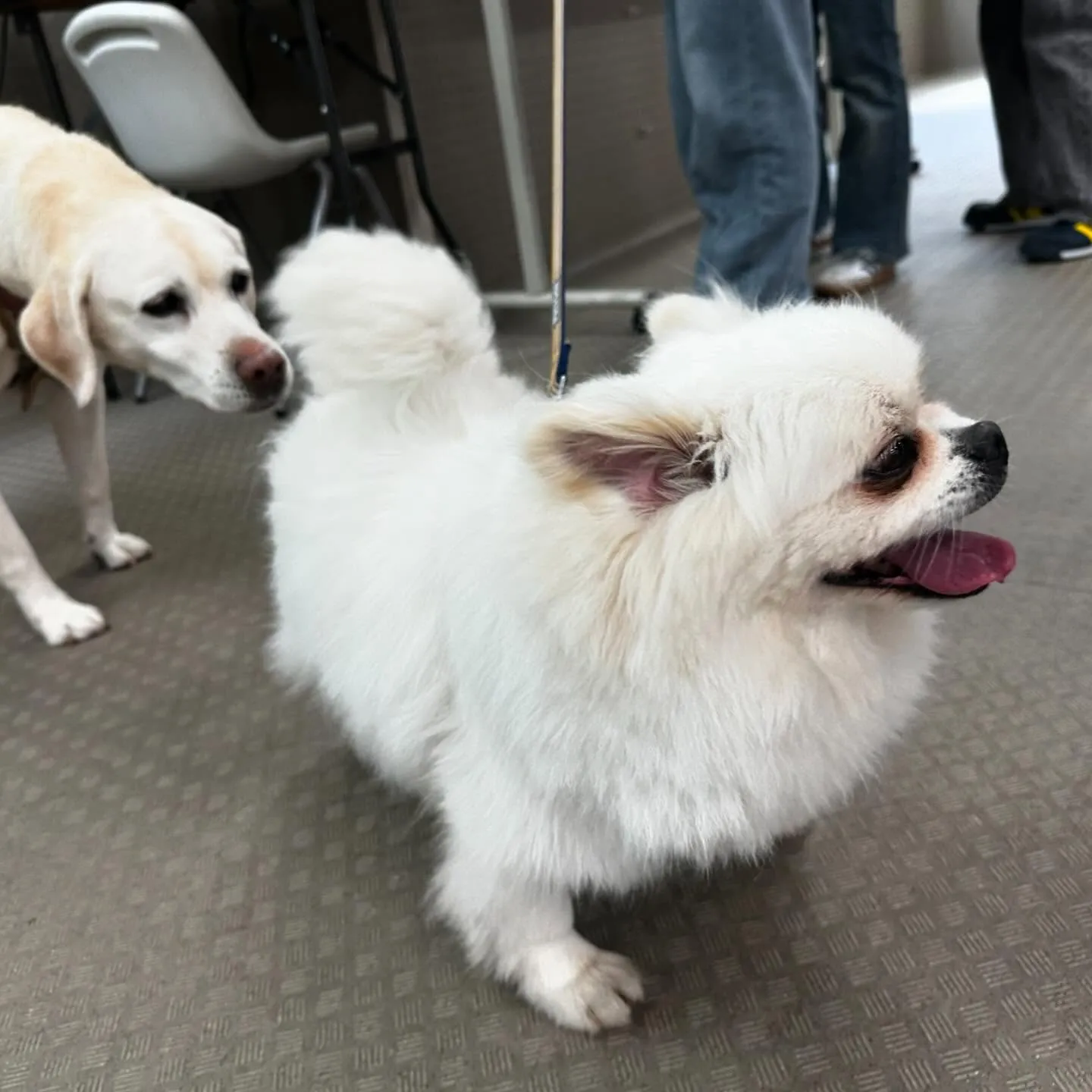 今日は専門学校day🏫