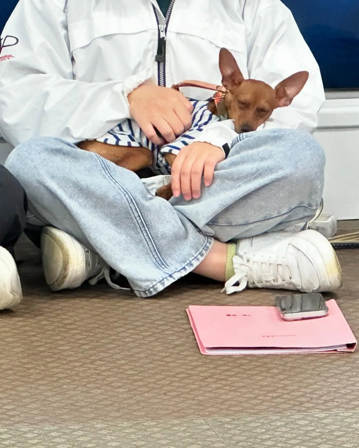 入会してくれたキラくんとモモちゃんです🎶