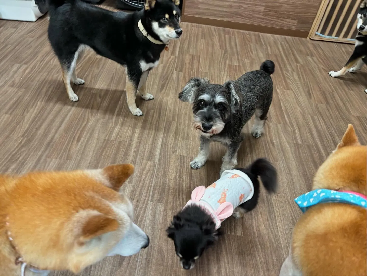 昨日姉がやってたチャットボットAIでルナちゃんがアニメ風イラ...