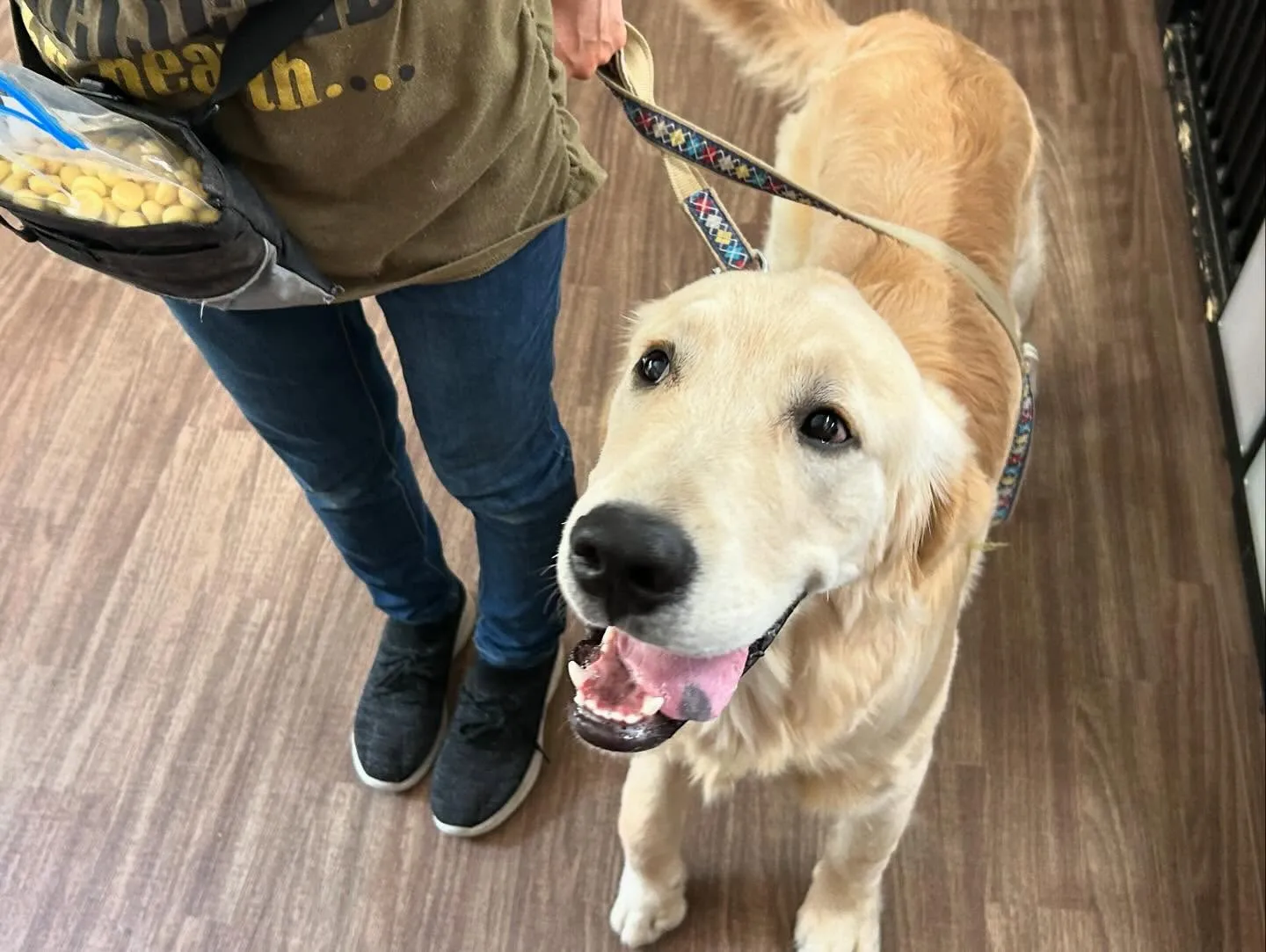 昨日姉がやってたチャットボットAIでルナちゃんがアニメ風イラ...