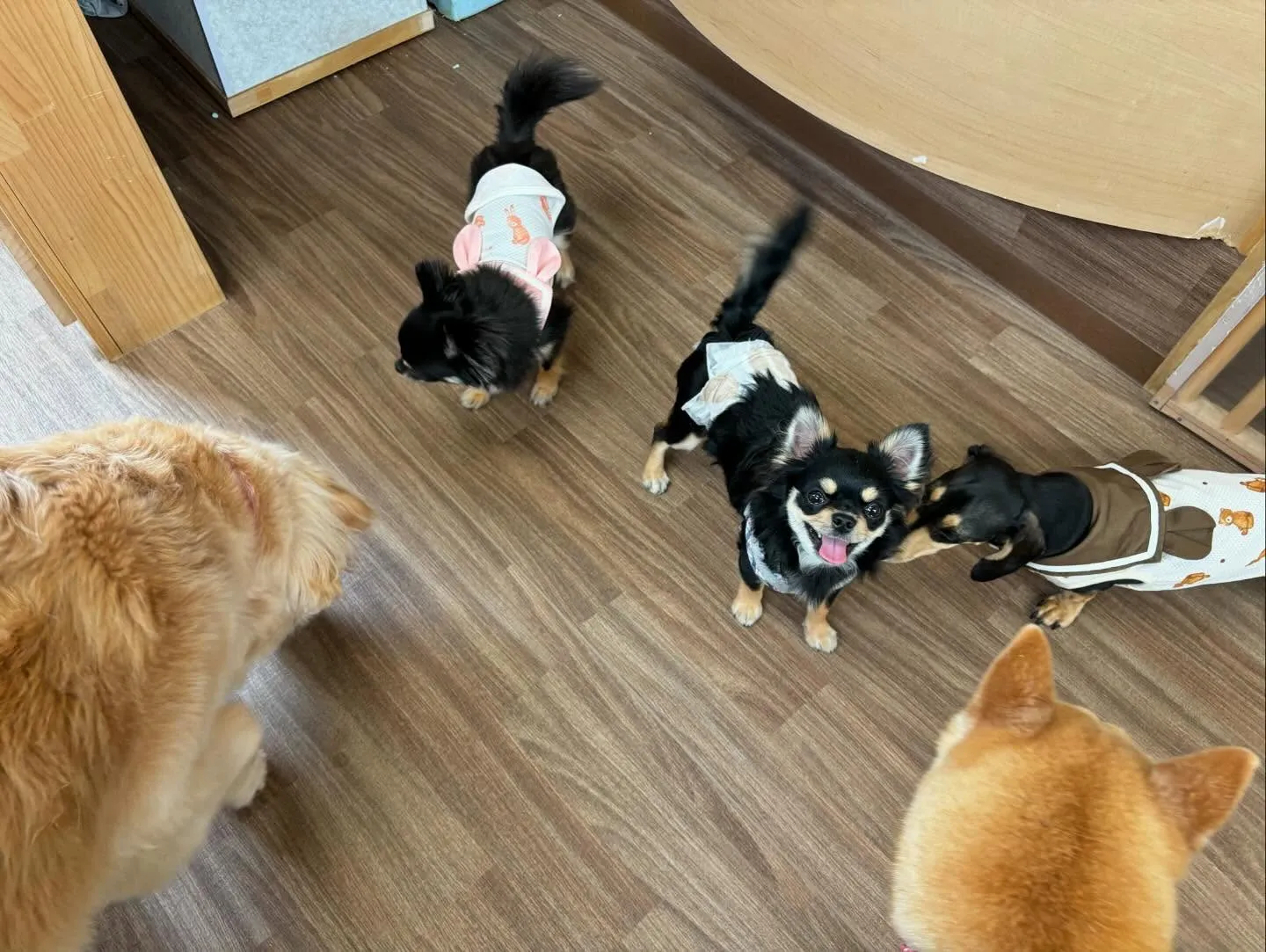 昨日姉がやってたチャットボットAIでルナちゃんがアニメ風イラ...