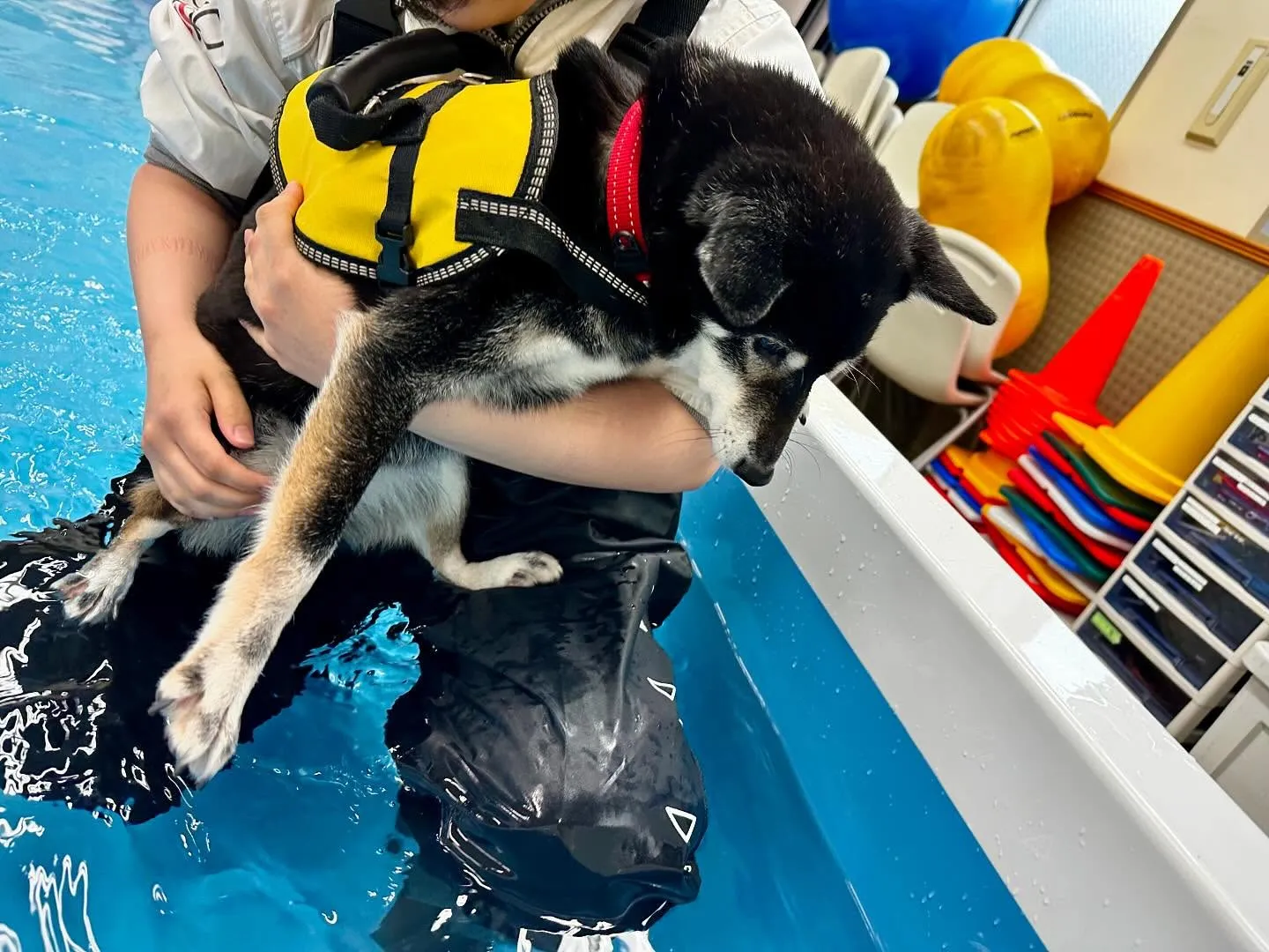 この前の学校dayの写真です🏫