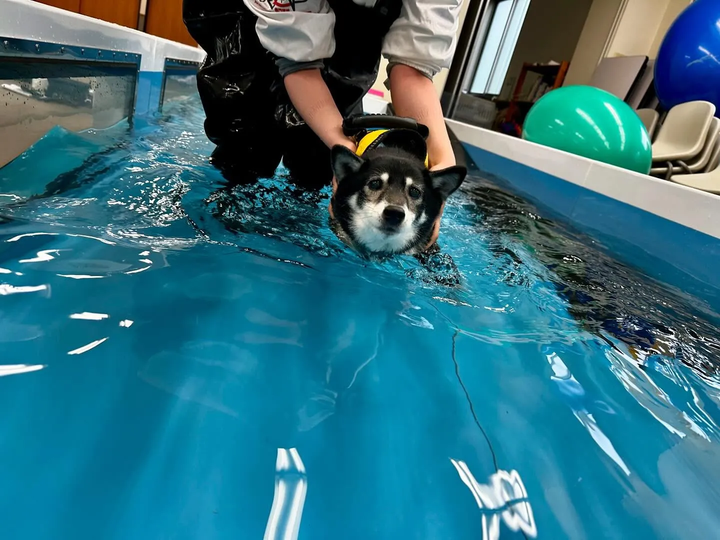 この前の学校dayの写真です🏫