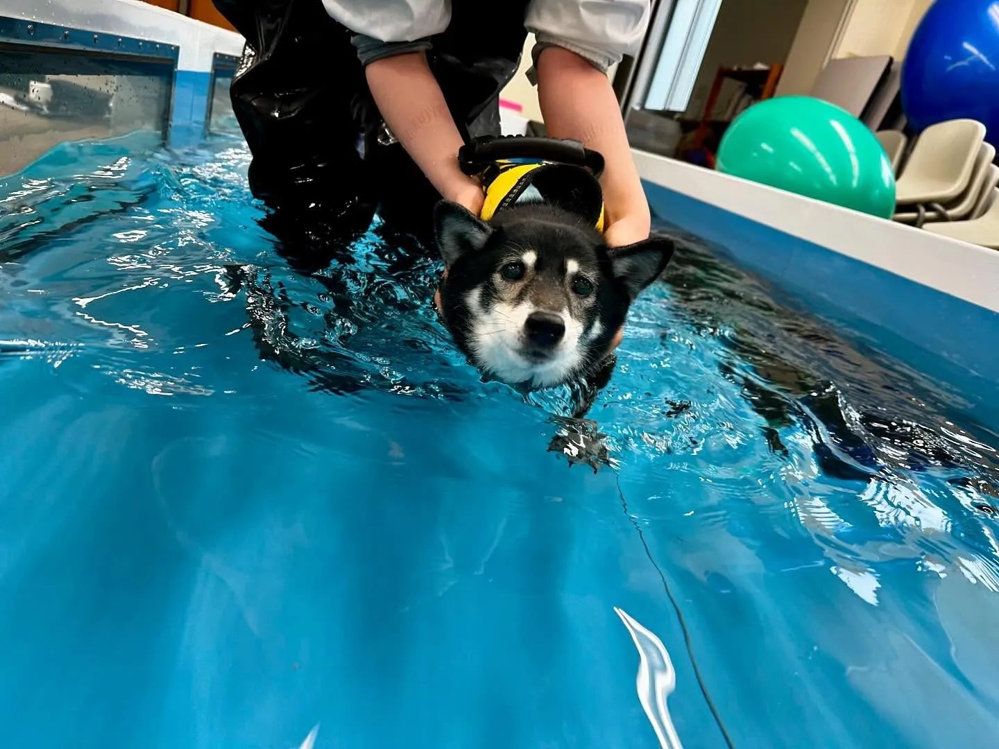 この前の学校dayの写真です🏫